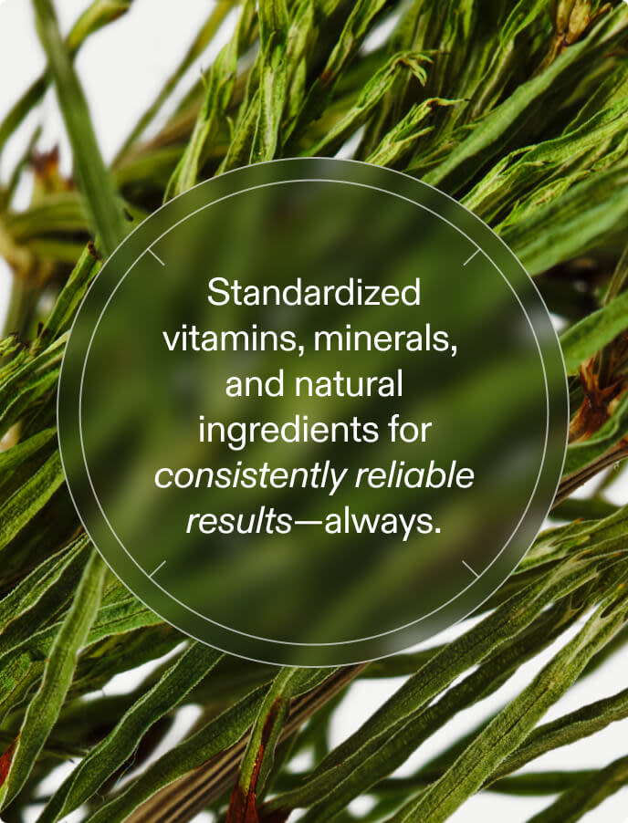 Close-up of botanical ingredients used in Nutrafol Women hair growth nutraceuticals for standardized, reliable results.